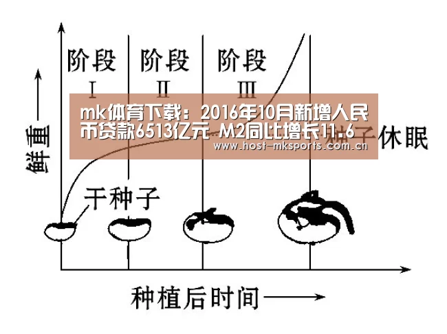 mk体育下载